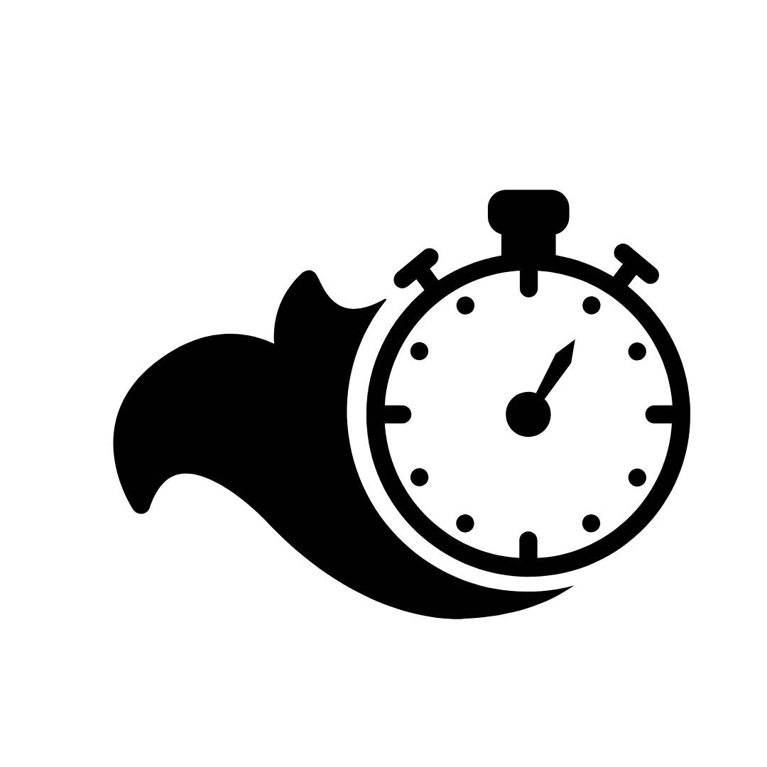 Faster Delivery Icon